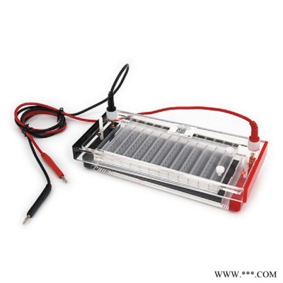 DYCP-44N型快速凝膠電泳儀(槽) DNA快速鑒定分離