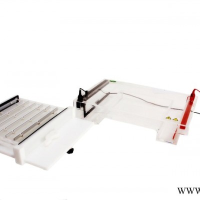 供應(yīng)君意JY-SP11水平核酸電泳槽