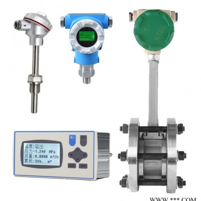 蒸汽流量計(jì) 電鍍廠蒸汽流量計(jì) 蒸汽流量計(jì)工作原理