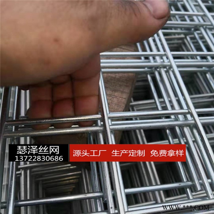 點焊異型網片  電鍍網片 熱度網片  防護網片 防爬網片  圍欄網片 隔離網片 護欄異形網片  量大從優