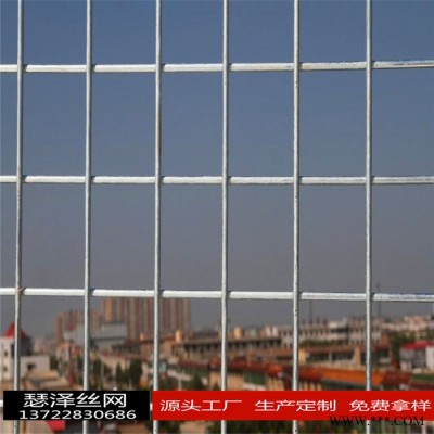 點焊異型網片電鍍網片 熱度網片 防護網片 防爬網片  圍欄網片 隔離網片 護欄異形網片  量大從優