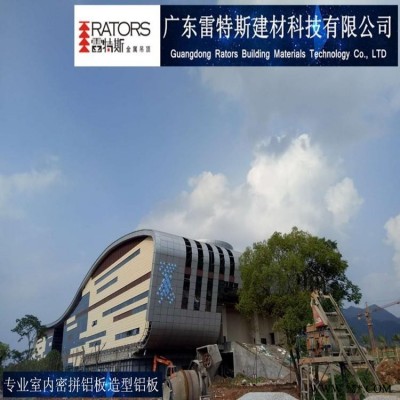 佛山雷特斯體育館鋁幕墻外墻鋁板_裝飾鋁板_廠家一站式包安裝服務(wù)