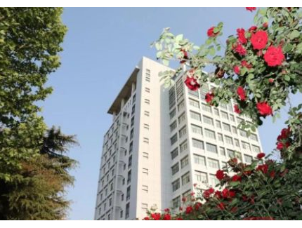 國(guó)企改 革三年行動(dòng)——中鋁鄭州研究院：育新機(jī) 開新局 譜新篇 建新功