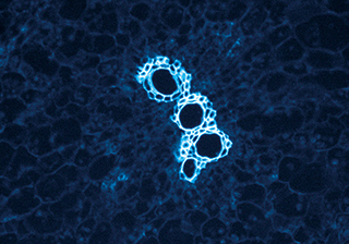 長時間曝光成像