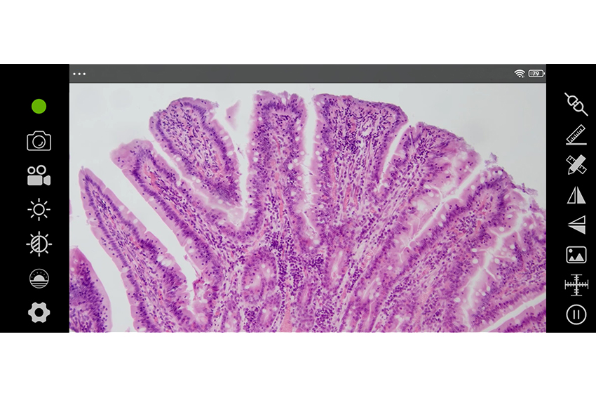 支持無(wú)線Wi-Fi功能