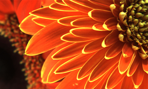 真實(shí)色彩還原算法