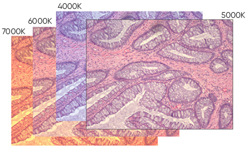 高質量彩色圖像
