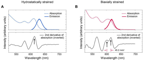 鑫圖 400BSI V3 | 非對稱應變的膠體量子點的發(fā)射方向性的增強